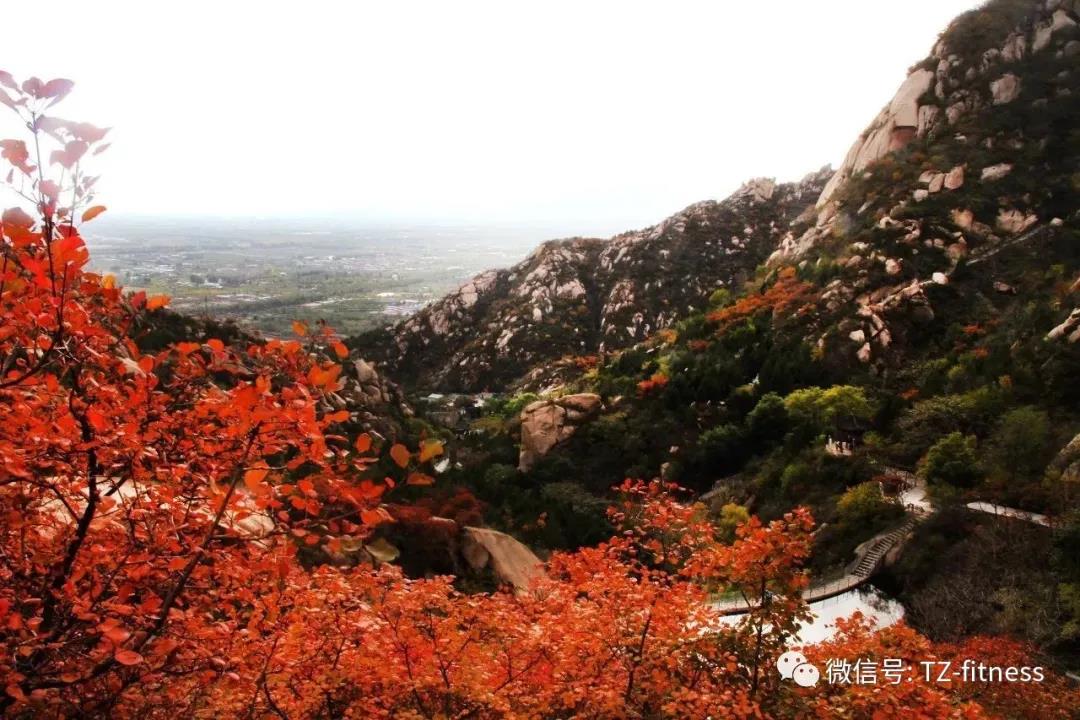 微信图片_20210820102436.jpg 微信图片_20210820102436.jpg