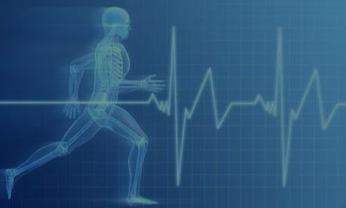 大青青草视频污APP下载产业项目合作